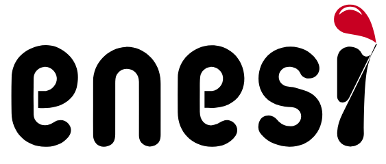 Enesi logo
